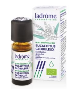 Eucalyptus globuleux (Eucalyptus globulus) BIO, 30 ml